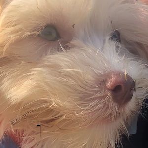 Meet your Posher, Katherine